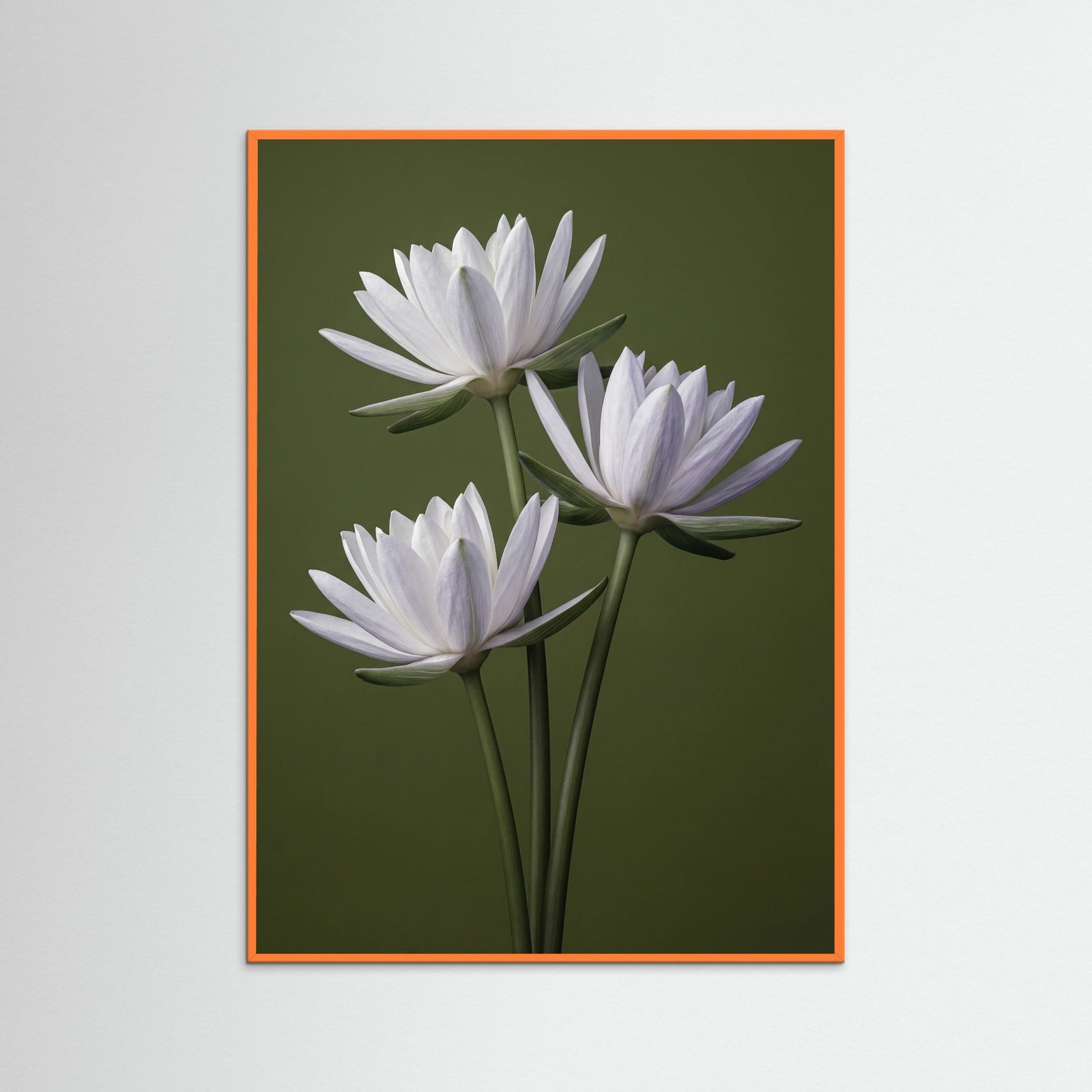 Orange Wood Elegant Irises