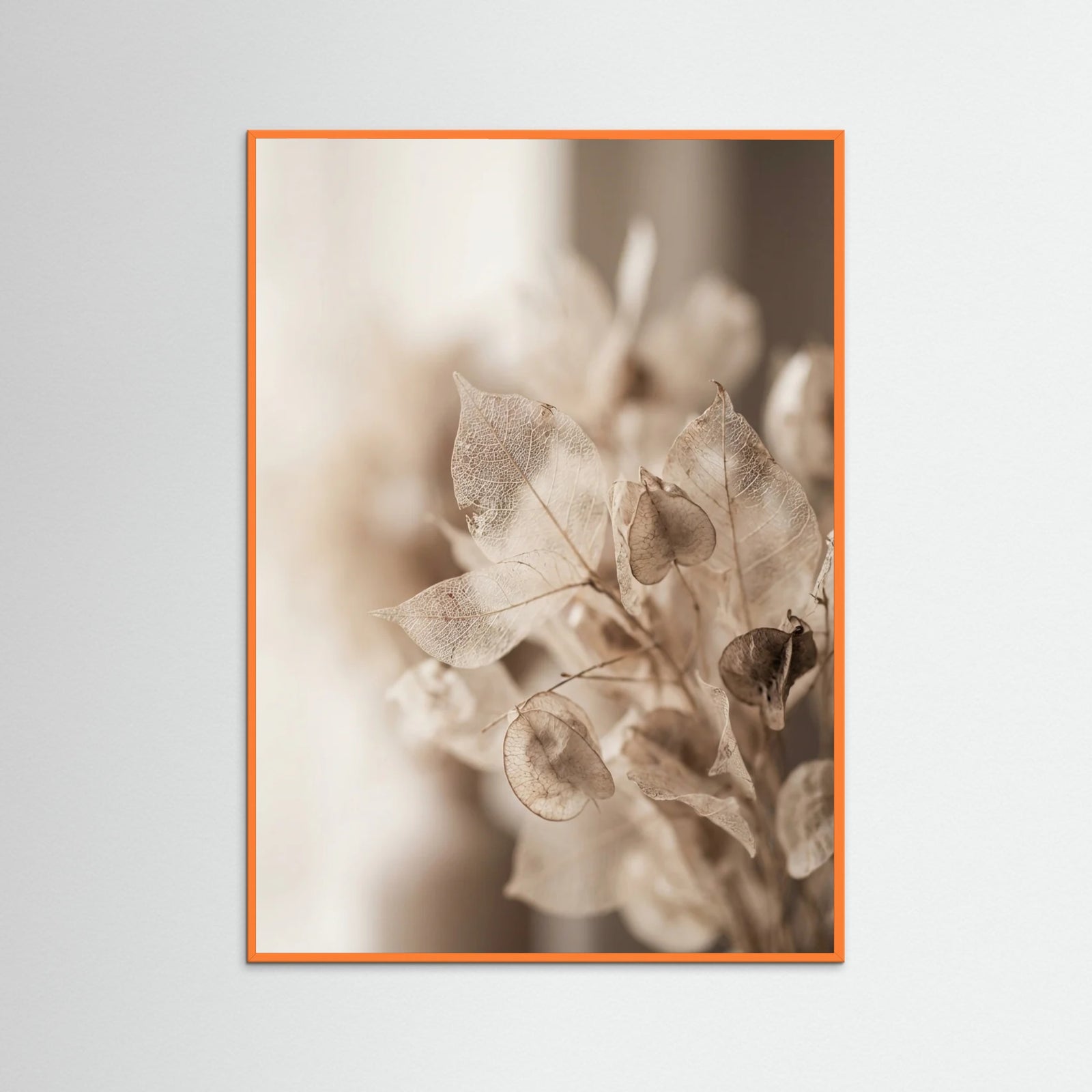 Orange Wood Ephemeral Bloom