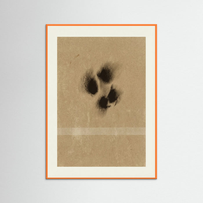 Orange Wood Ephemeral Marks
