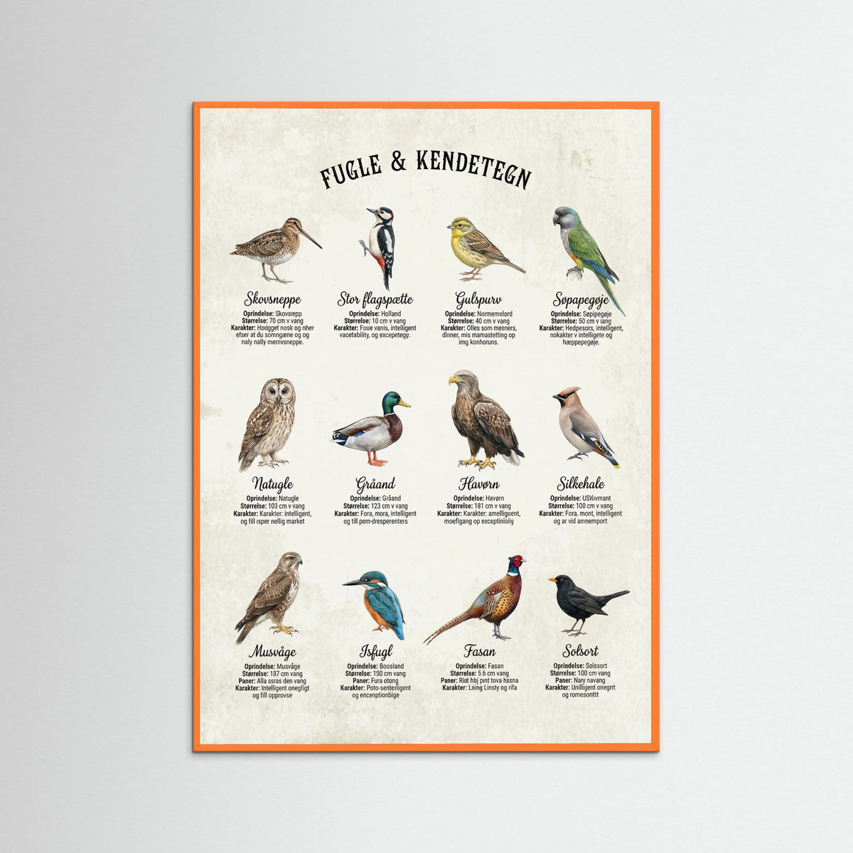 Orange Wood Equine Breed Guide