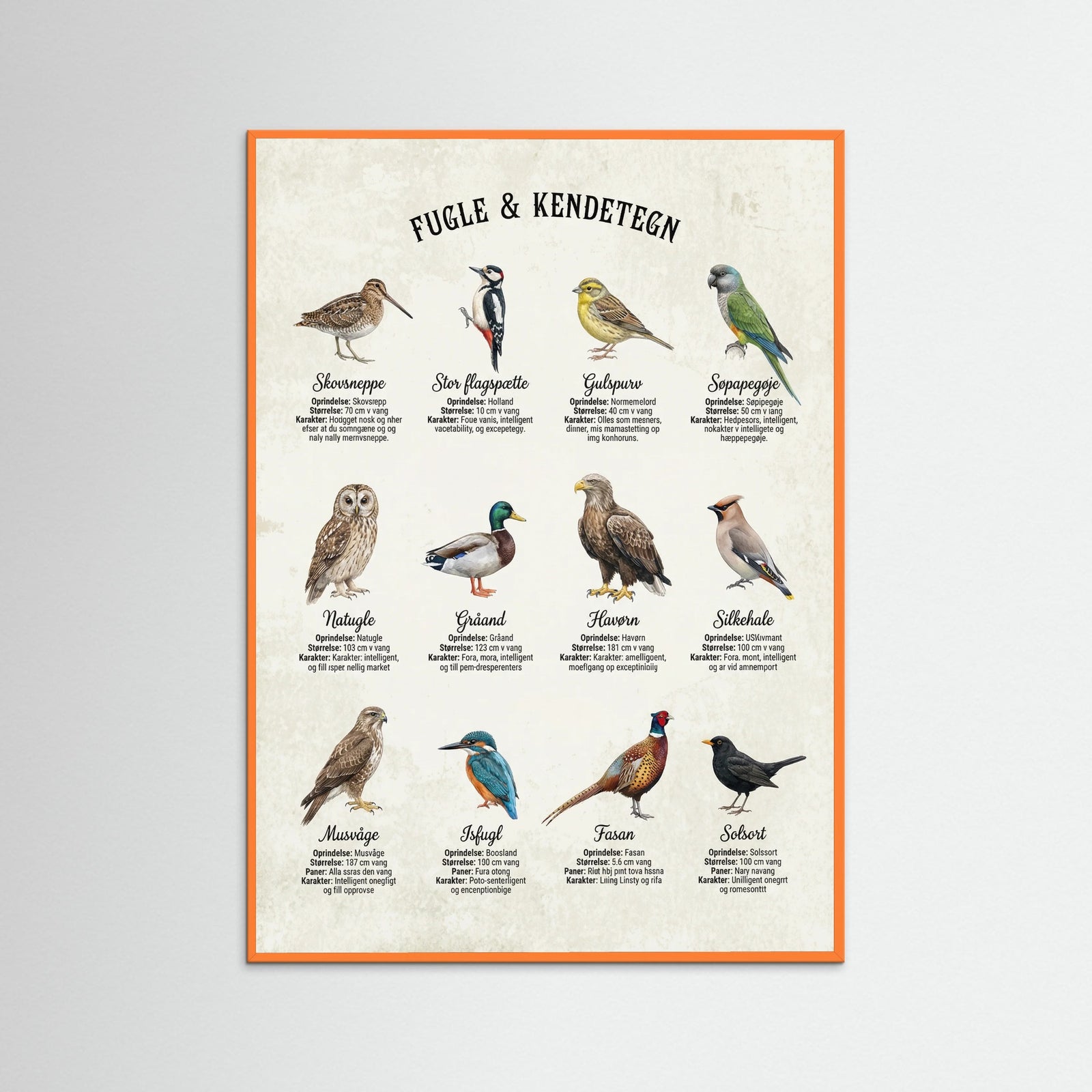 Orange Wood Equine Breed Guide