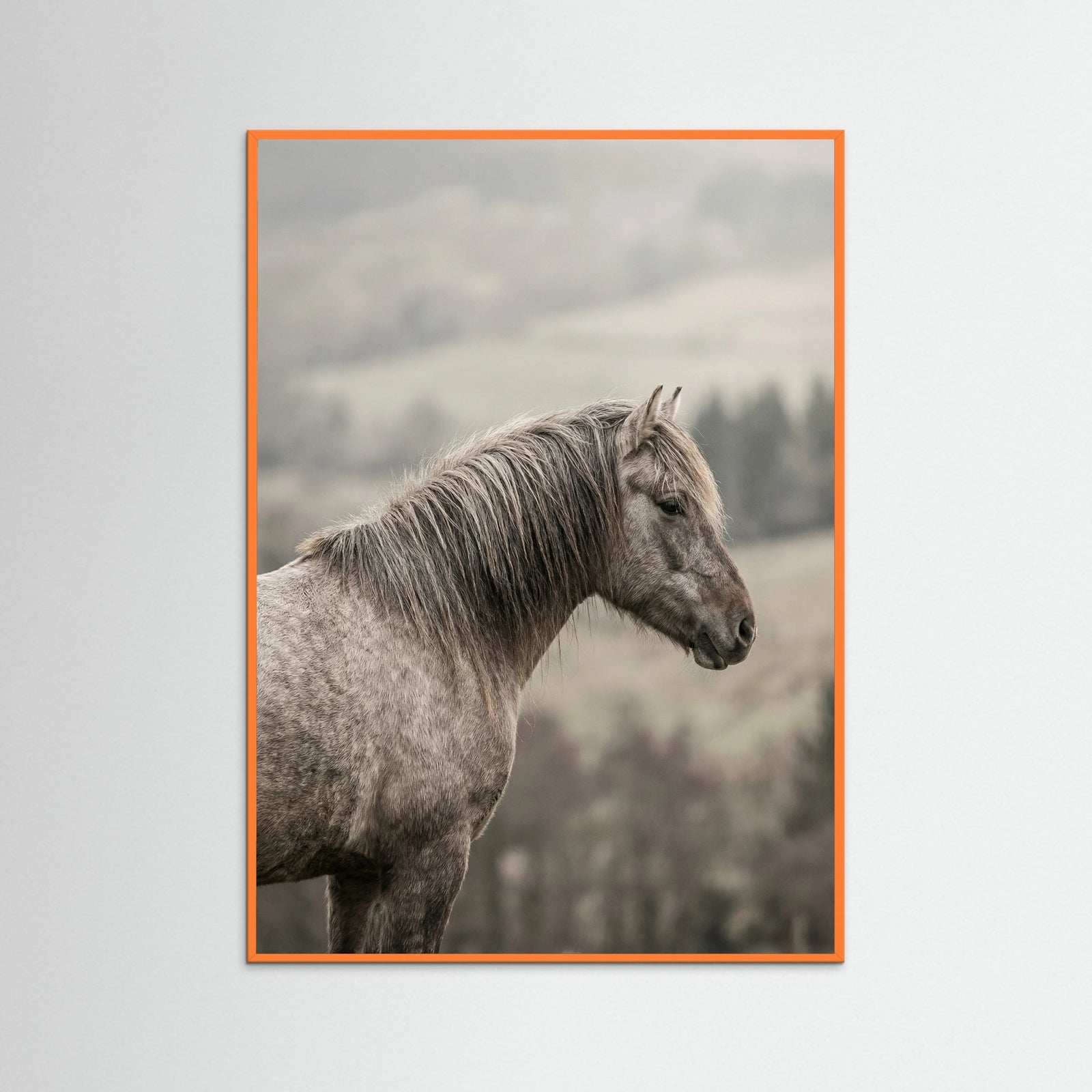 Orange Wood Equine Companions