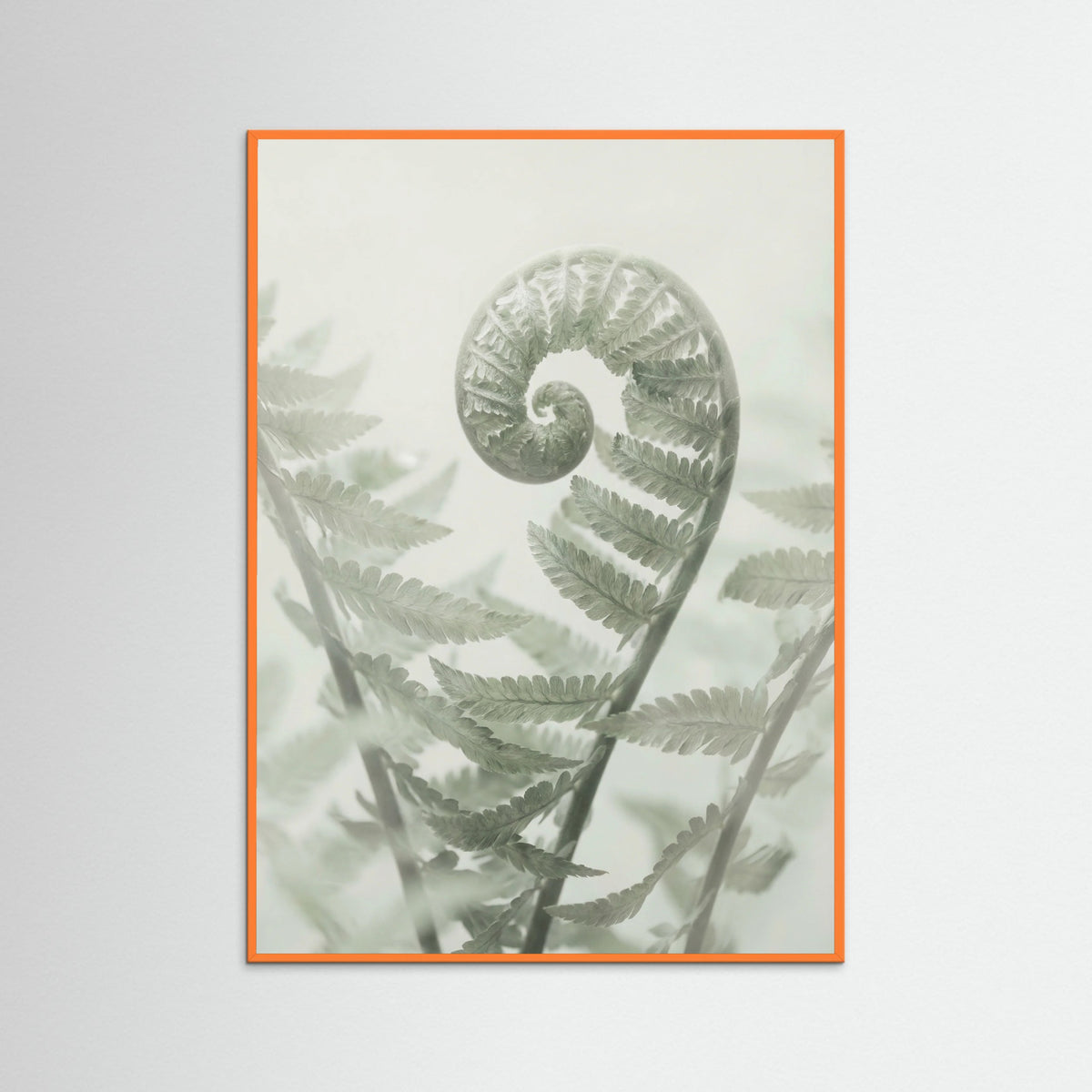 Orange Wood Ethereal Eucalyptus