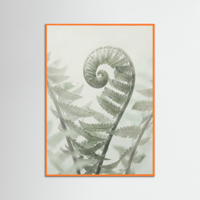 Orange Wood Ethereal Eucalyptus