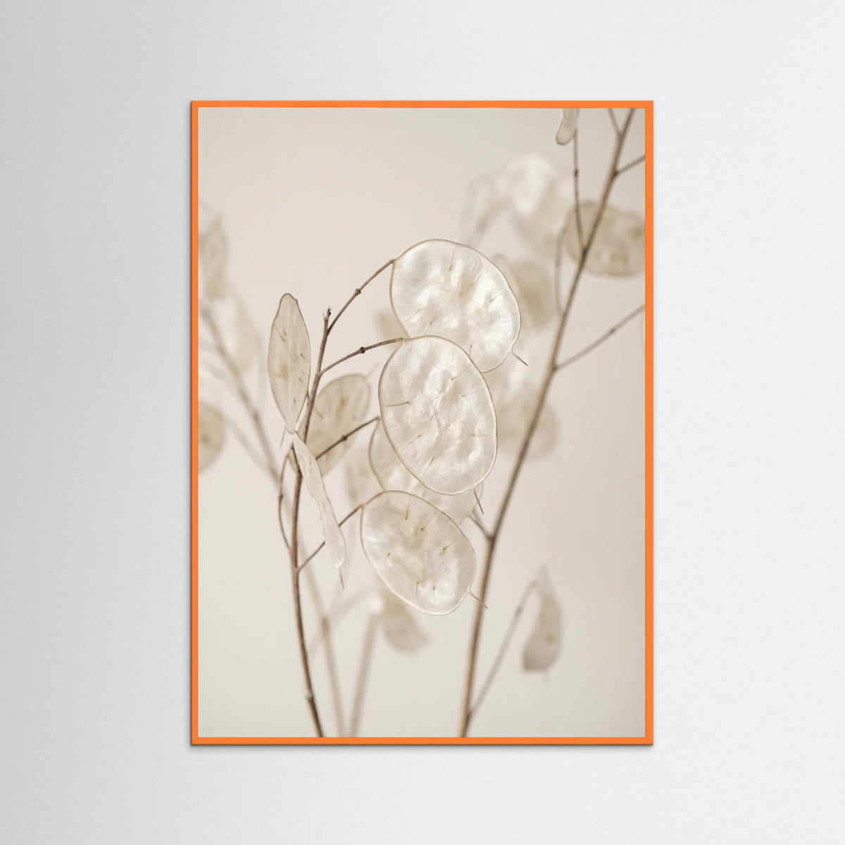 Orange Wood Ethereal Plumes