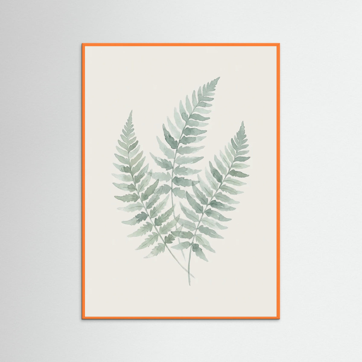 Orange Wood Eucalyptus Grace