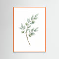 Orange Wood Eucalyptus Serenity