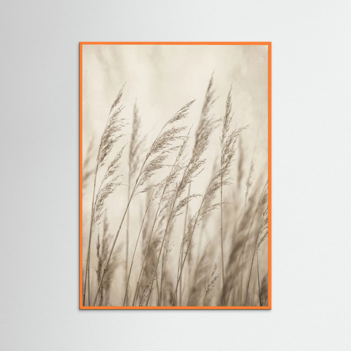 Orange Wood Faded Grace