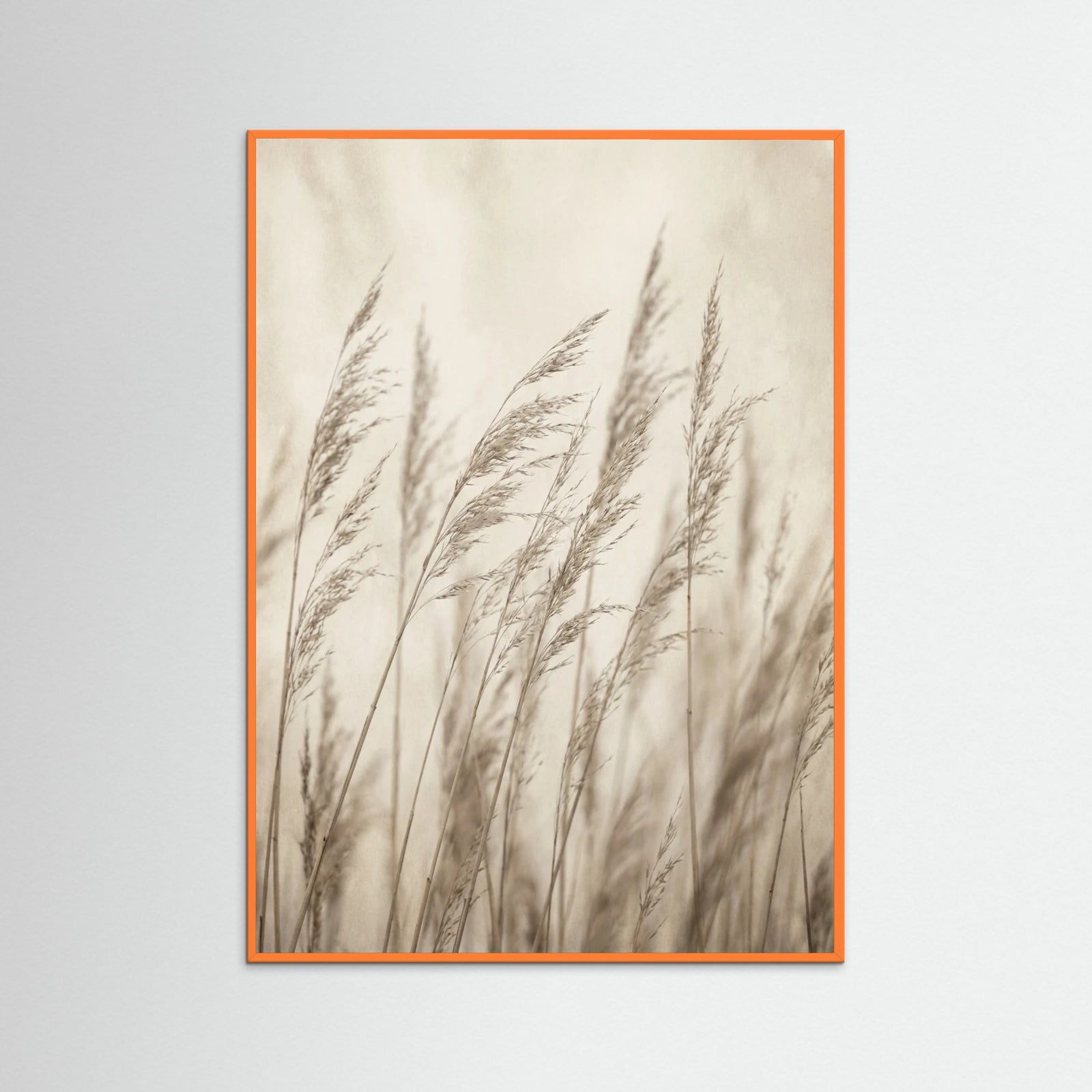 Orange Wood Faded Grace