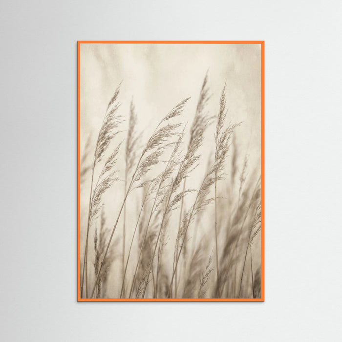 Orange Wood Faded Grace