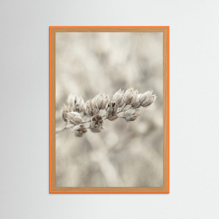 Orange Wood Faded Whisper