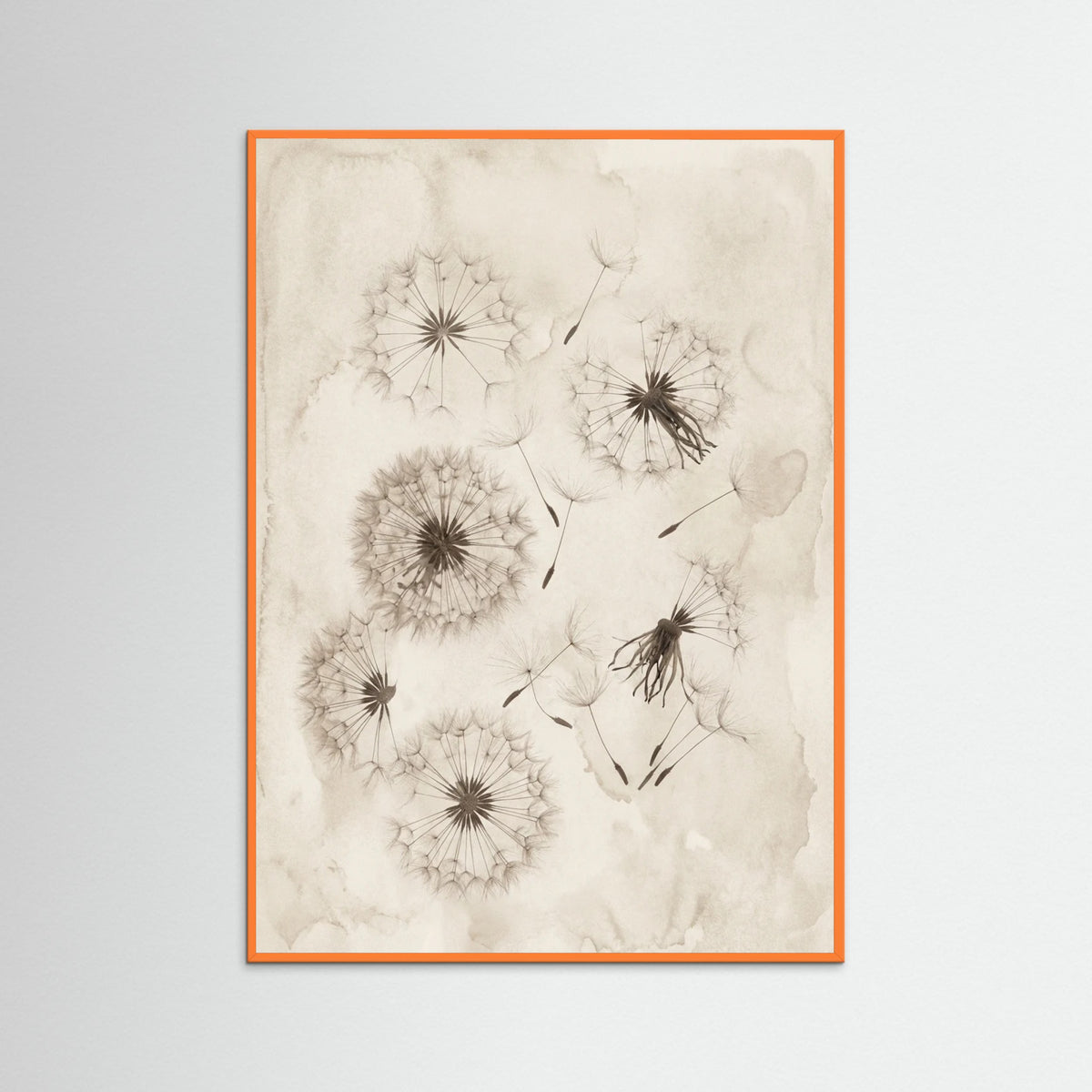 Orange Wood Fading Botanicals