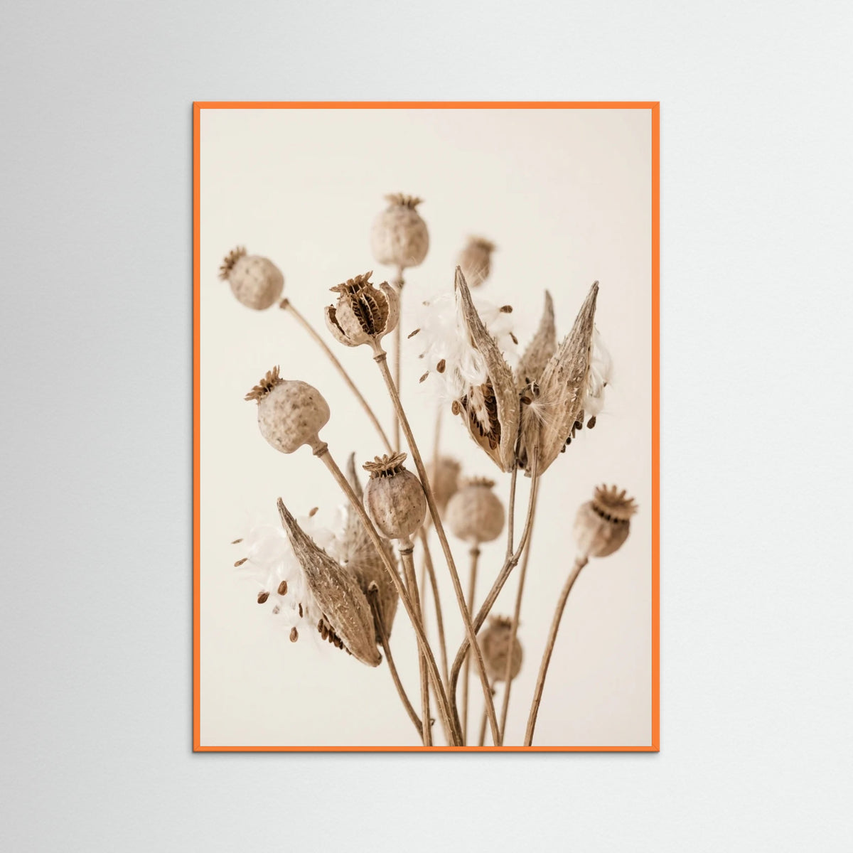Orange Wood Fading Whisper