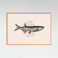 Fish In Geometrics Nº2 Poster – plakat og kunsttryk