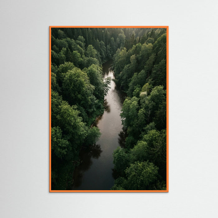 Orange Wood Forest Traverse