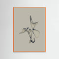 Poster Free Torus - 1 – poster e stampa artistica