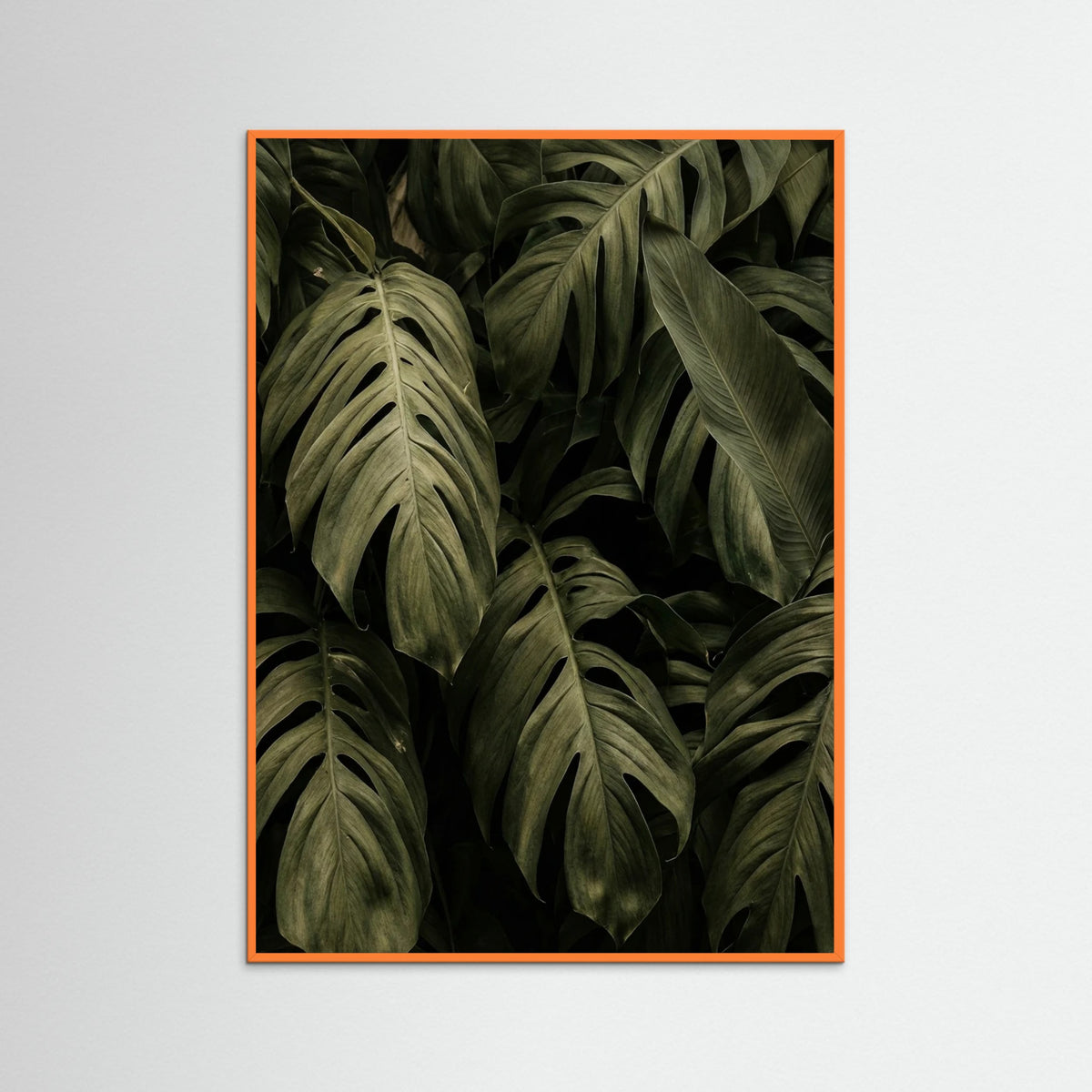 Orange Wood Frond Shadows