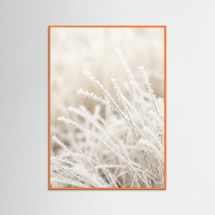 Orange Wood Frosted Whispers