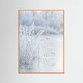 Orange Wood Frozen Reflections