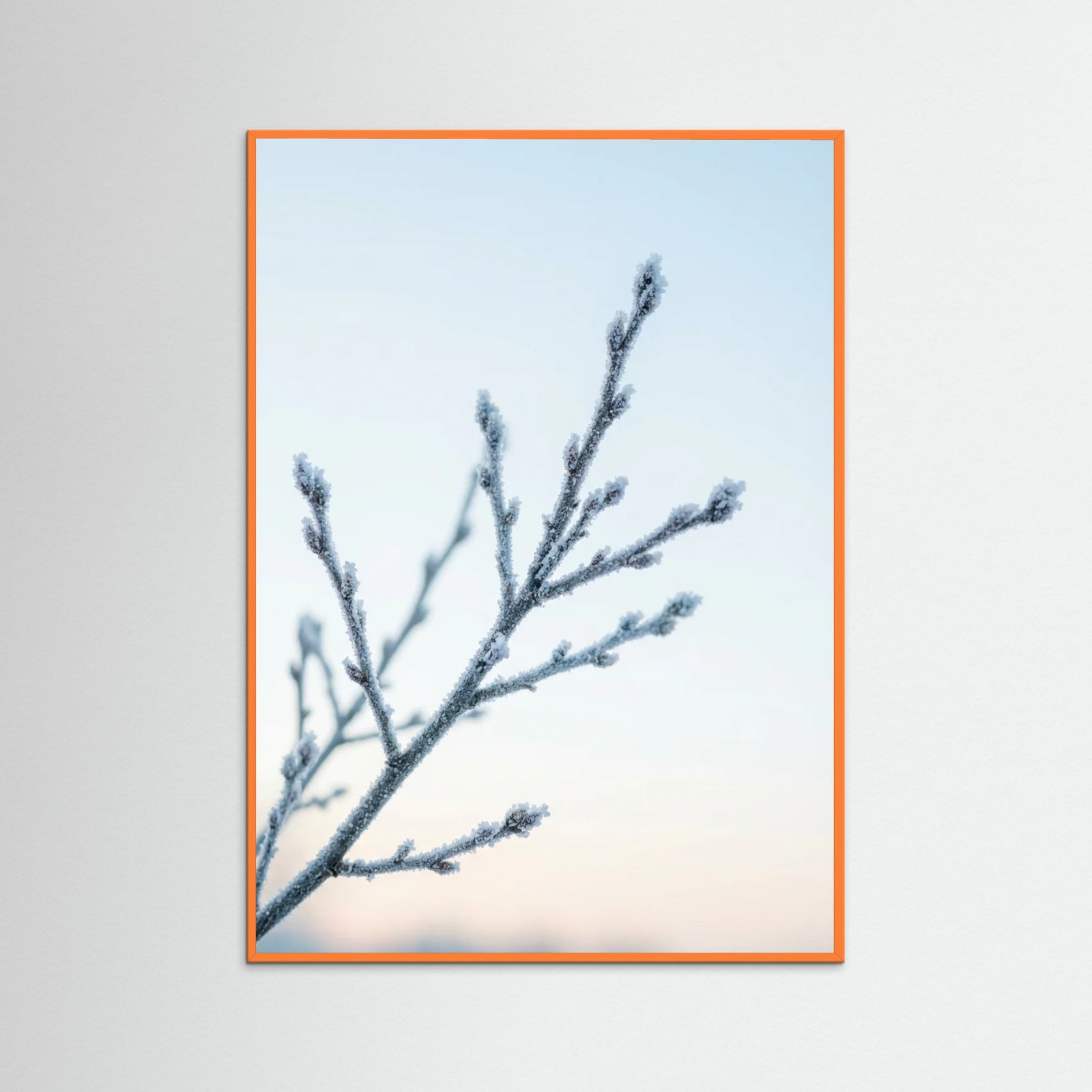 Orange Wood Frozen Whisper