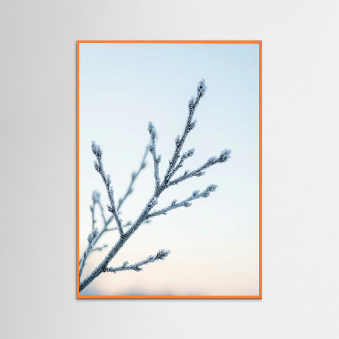 Orange Wood Frozen Whisper