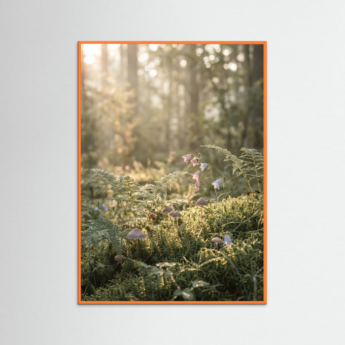 Orange Wood Golden Hour Serenity