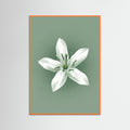 Orange Wood Green Coffee Serenity