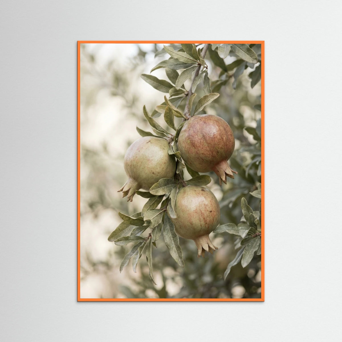 Orange Wood Green Olives