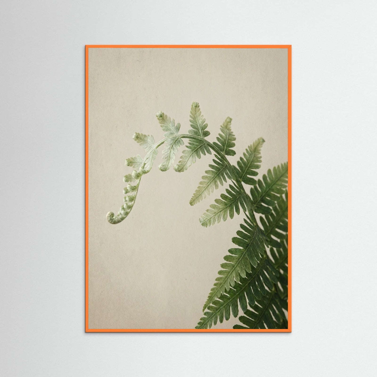 Orange Wood Green Serenity