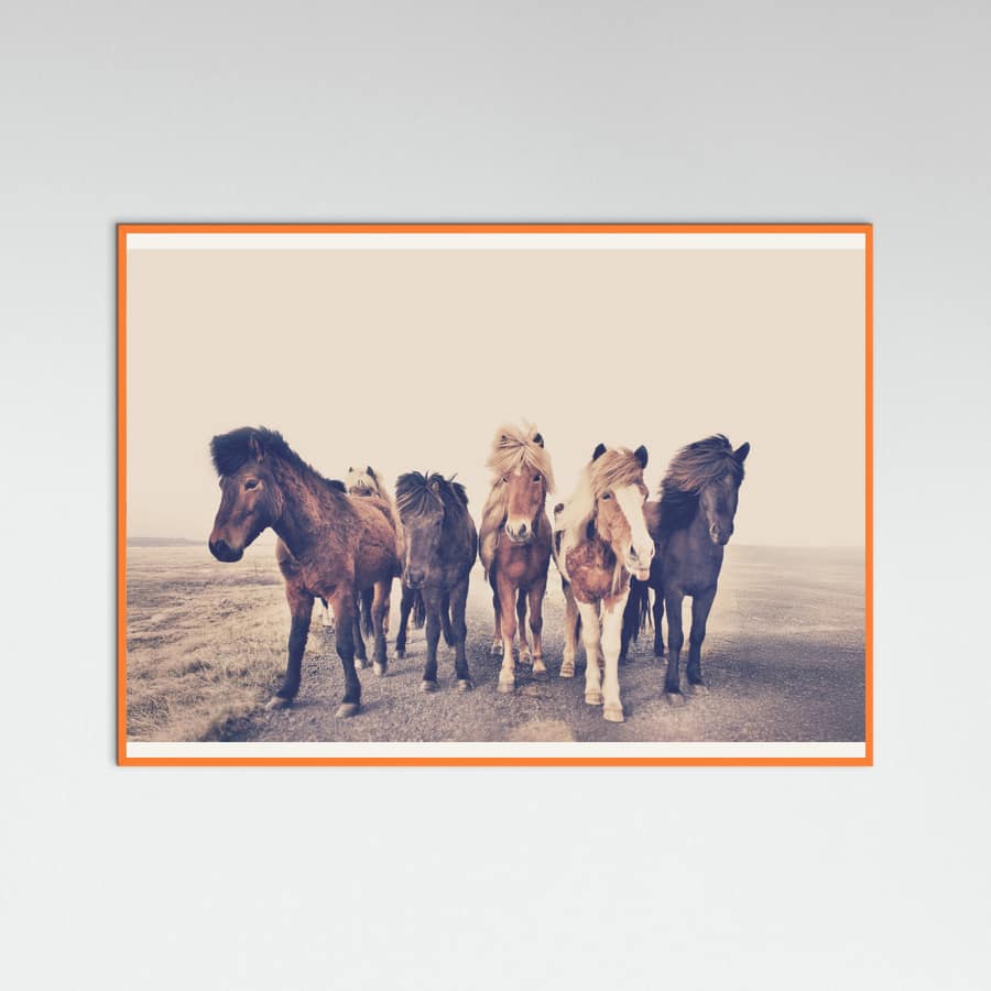 Poster Horses – poster e stampa artistica