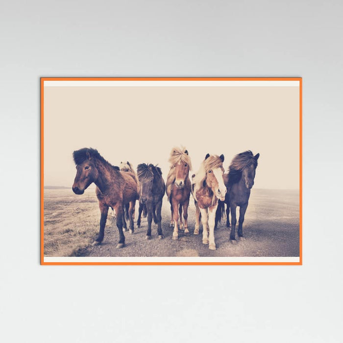 Poster Horses – poster e stampa artistica