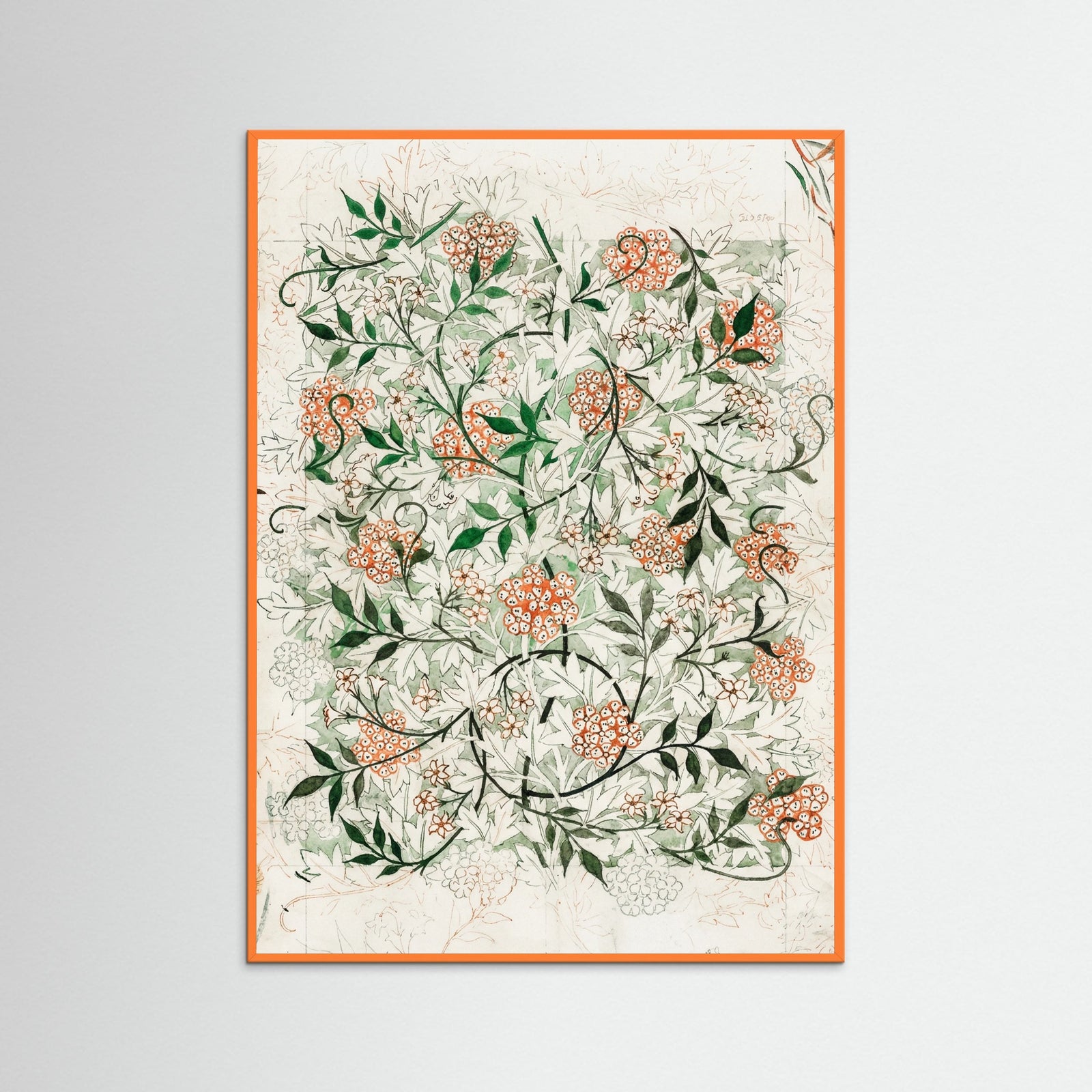 Orange Wood Jasmine Vine Elegance