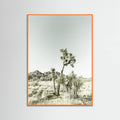 Orange Wood Joshua Tree National Park Vintage Impression Poster