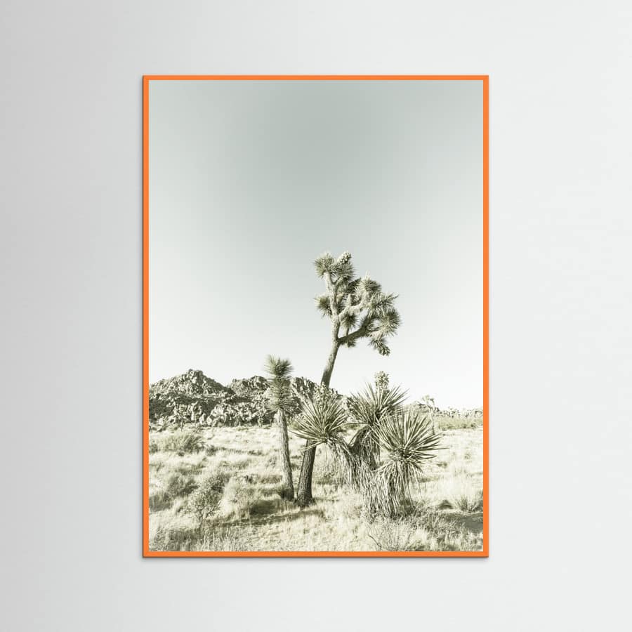 Orange Wood Joshua Tree National Park Vintage Impression Poster