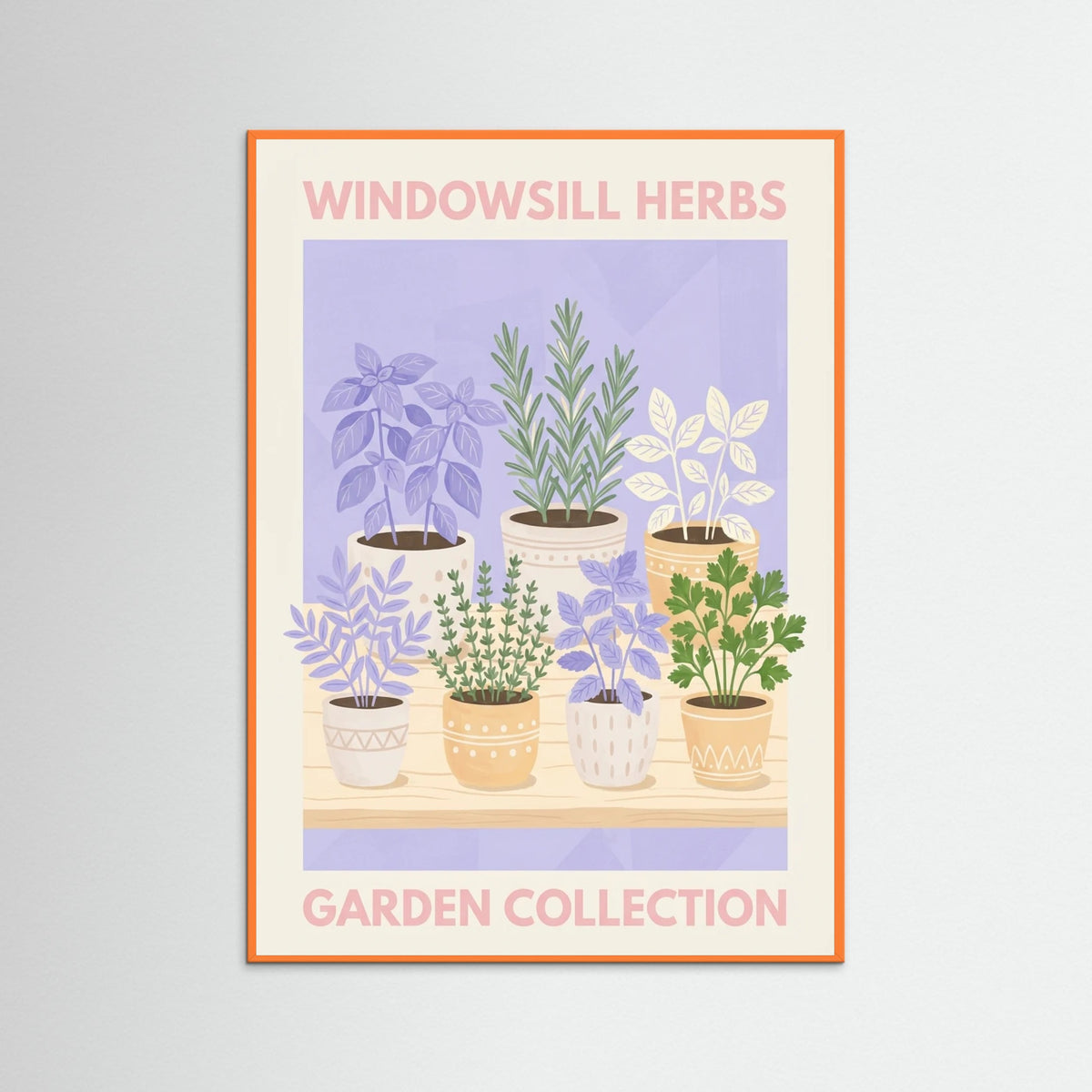 Orange Wood Lavender Blooms