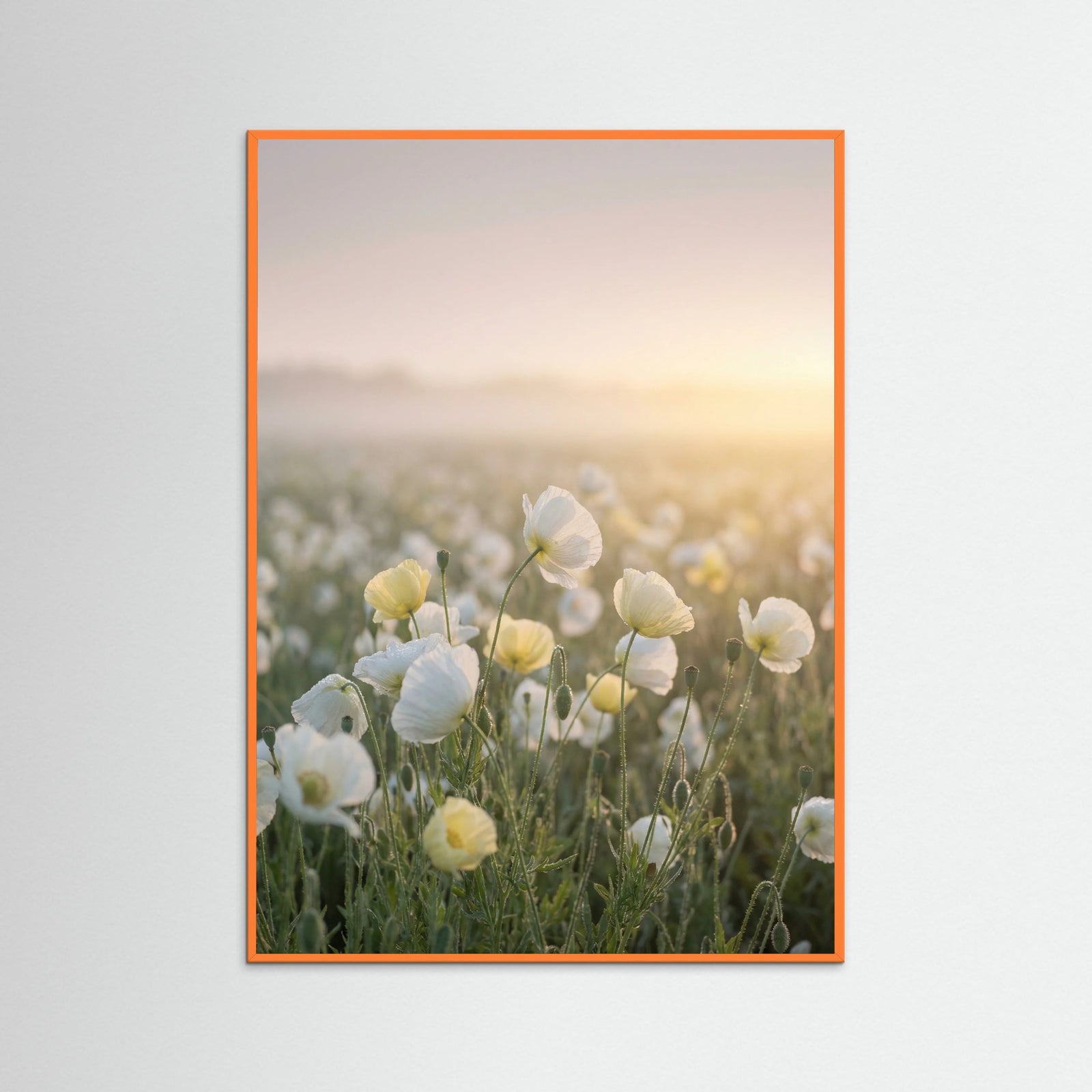 Orange Wood Lavender Sunset Field