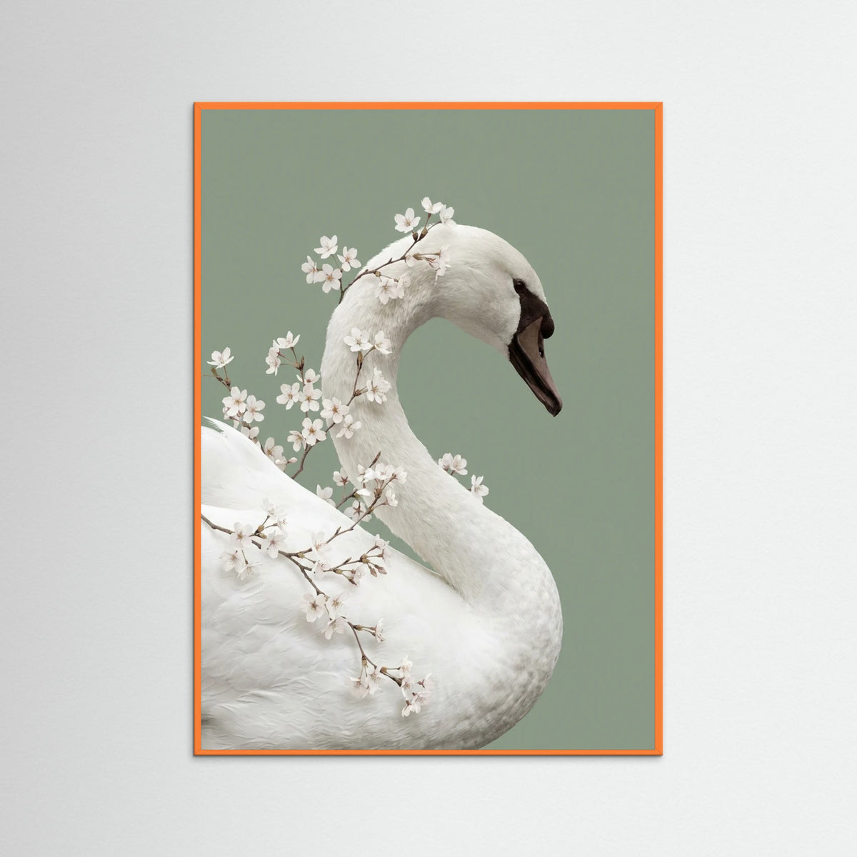 Orange Wood Lilys Whisper