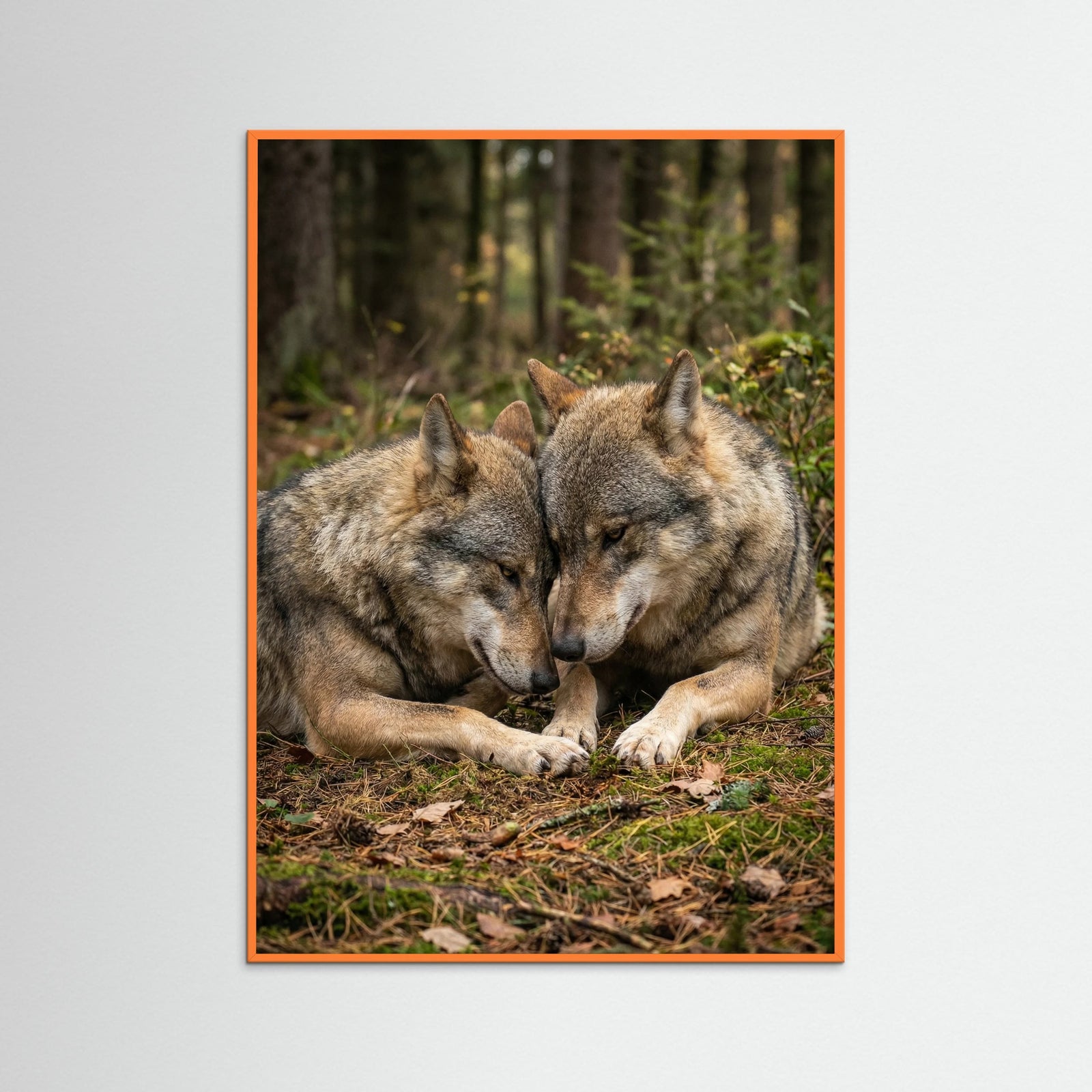 Orange Wood Lion Brotherhood