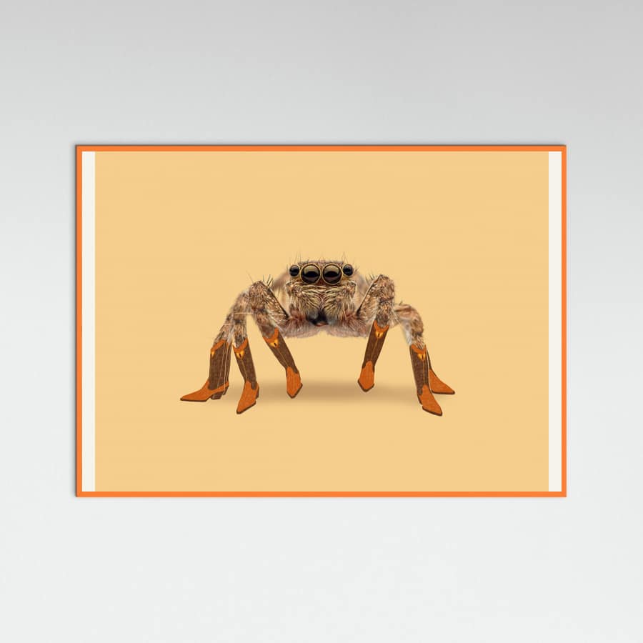 Orange Wood Lydia the Leggiest Cowgirl Spider Poster