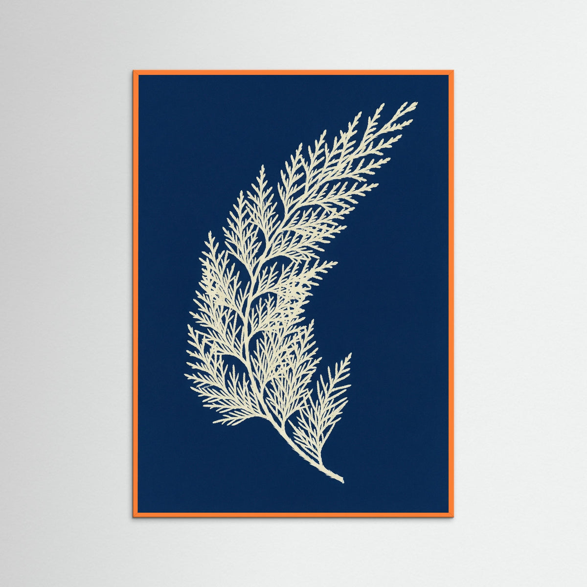 Orange Wood Mediterranean Foliage