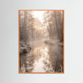 Orange Wood Misty Dawn Reflection