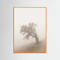 Orange Wood Misty Embrace