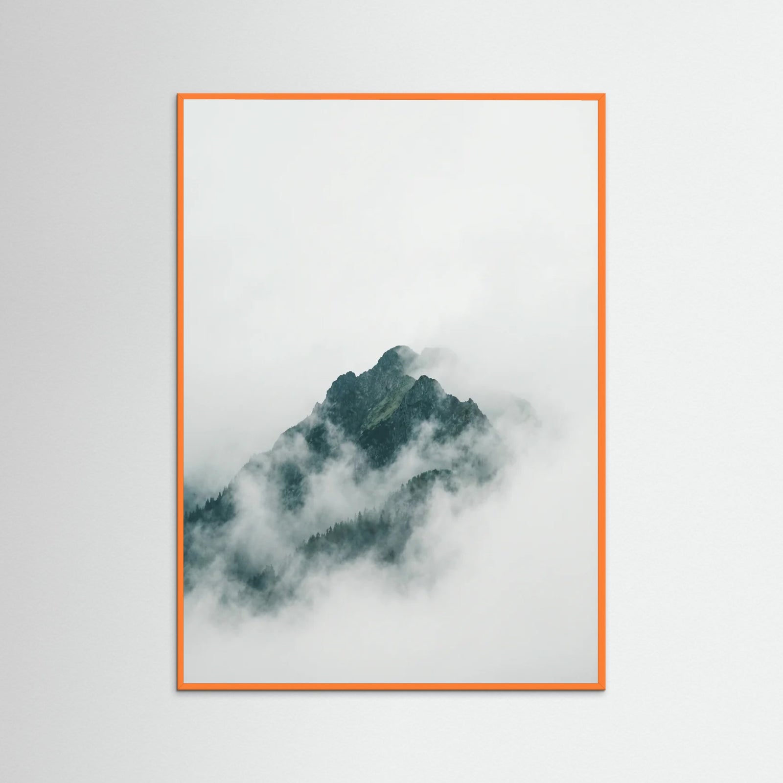 Orange Wood Misty Forest Canopy