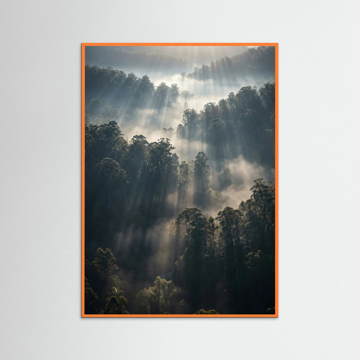 Orange Wood Misty Mountain Lake