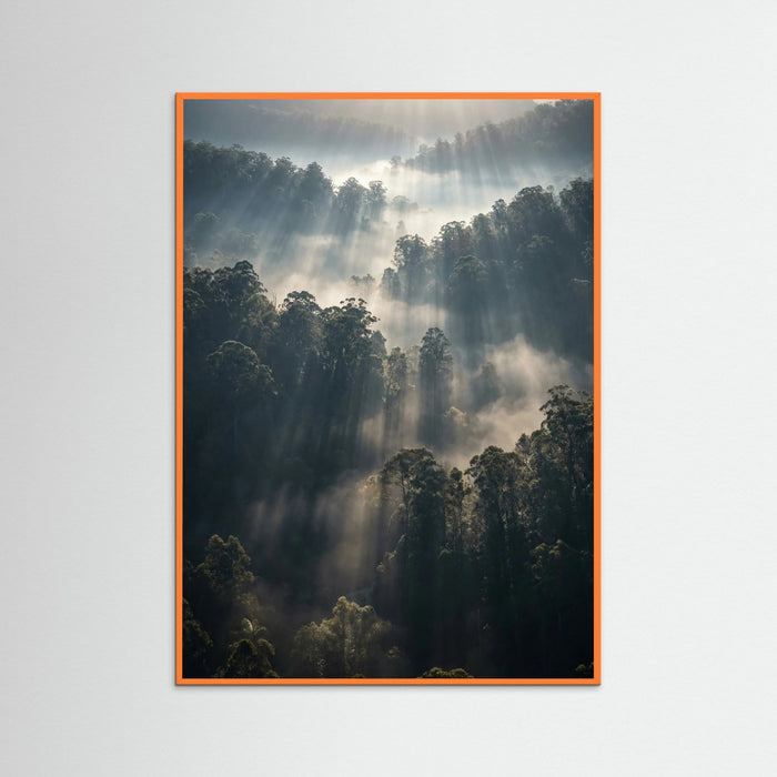 Orange Wood Misty Mountain Lake