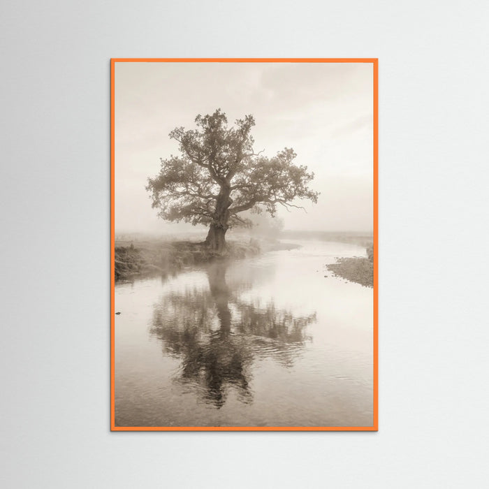 Orange Wood Misty Mountain Serenity