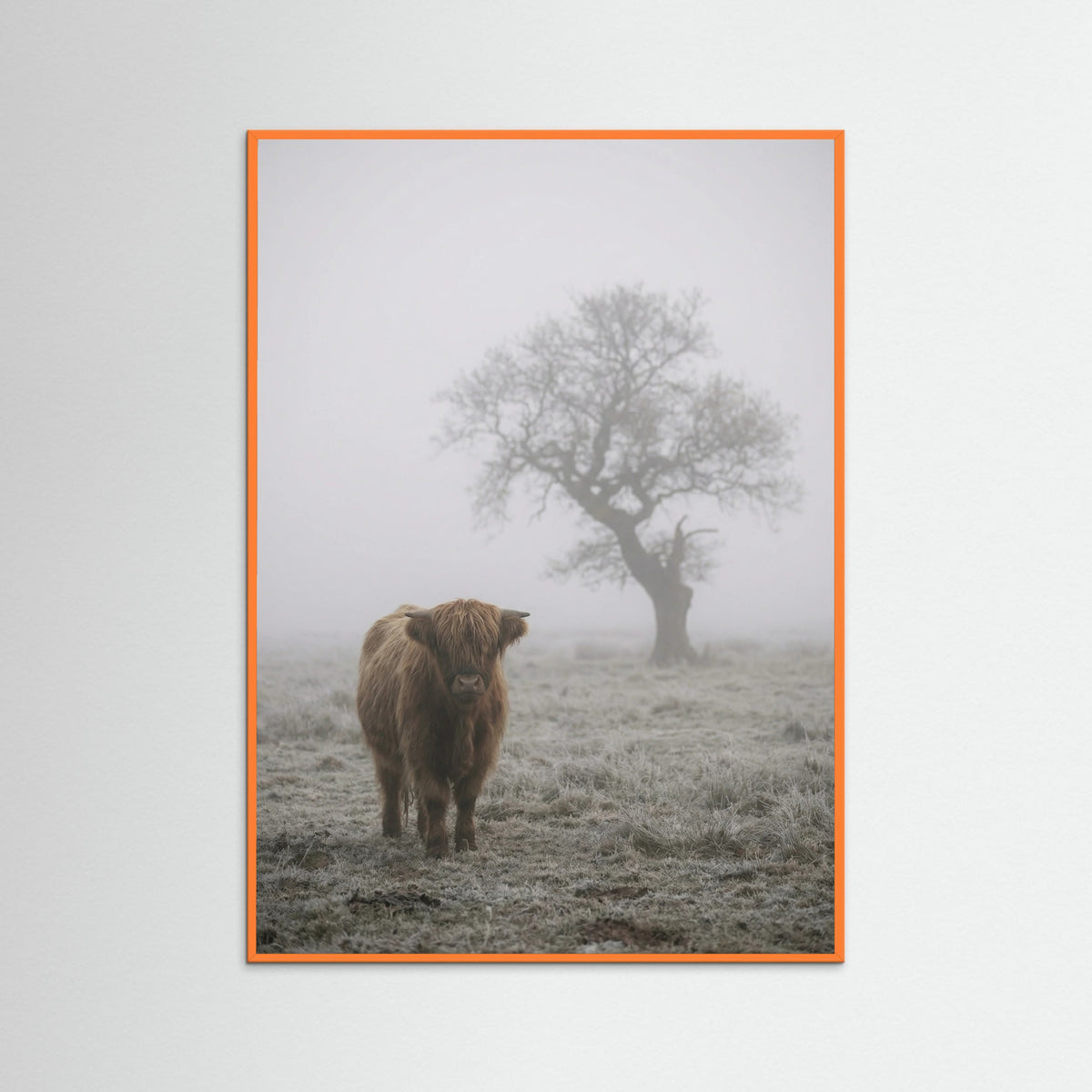 Orange Wood Misty Sheep