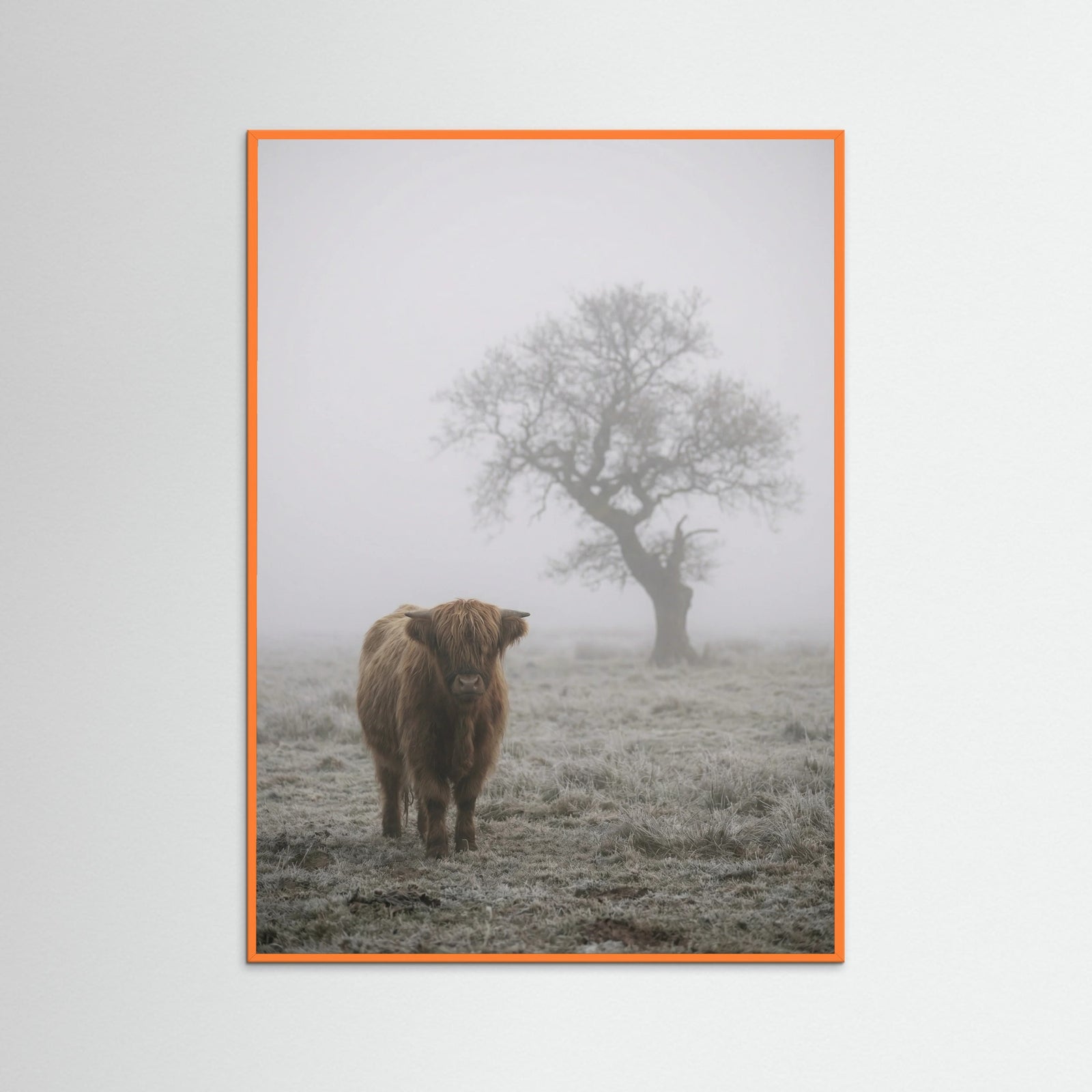 Orange Wood Misty Sheep