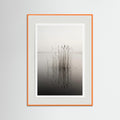 Orange Wood Misty Solitude