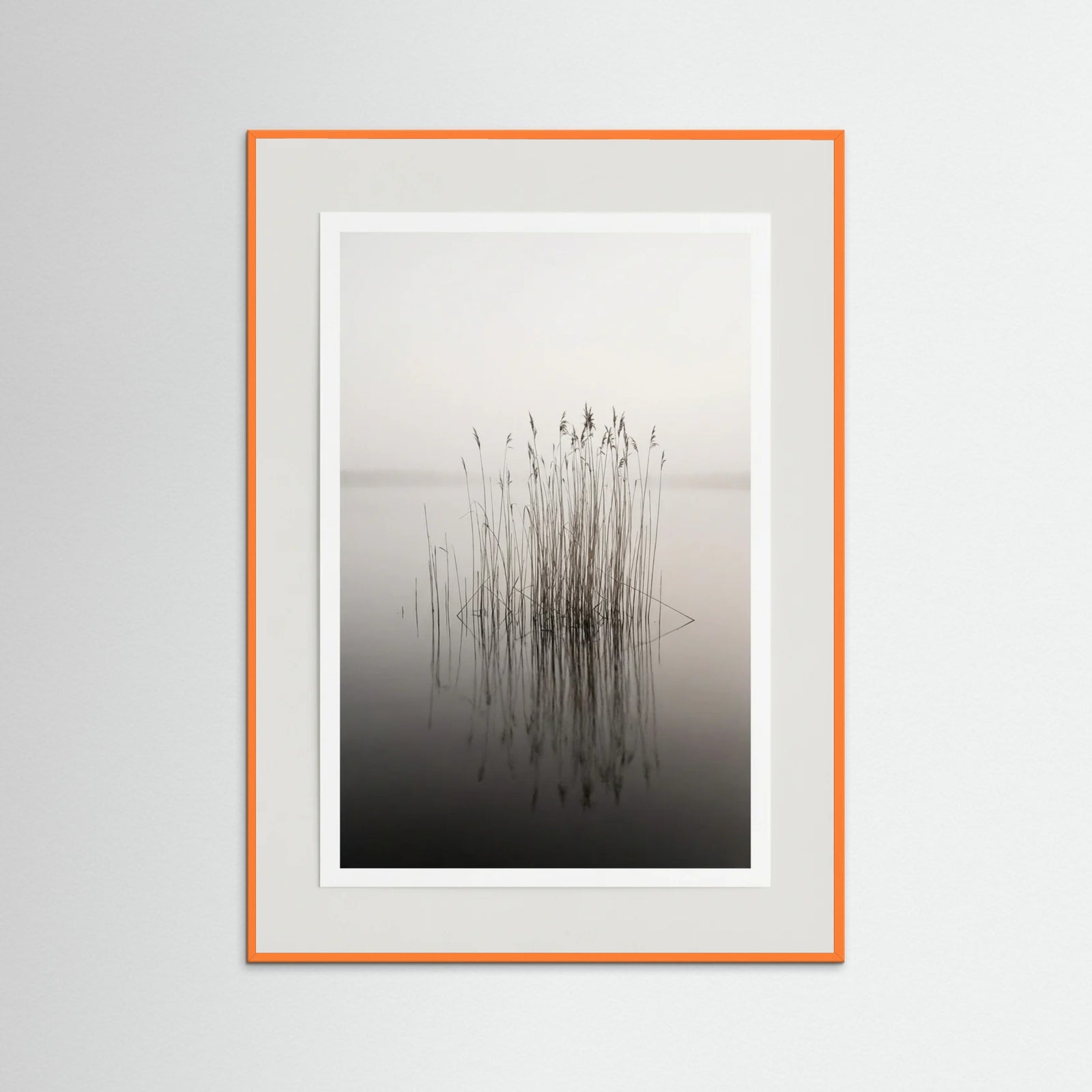 Orange Wood Misty Solitude